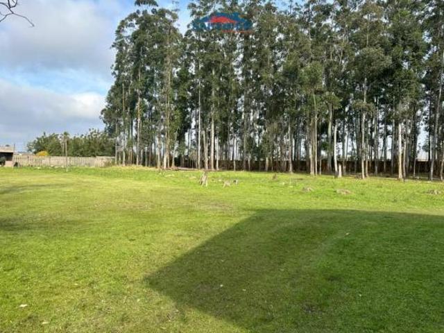Sítio e chácara venda em Costa do Ipiranga, Gravataí