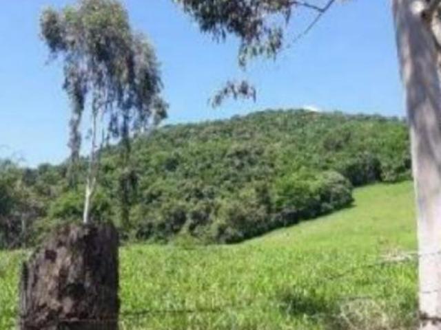 Sítio e chácara venda em Região Geográfica Imediata de Pouso Alegre, Monte Sião