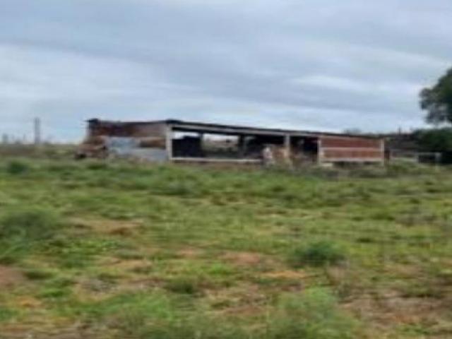 Sítio e chácara venda em Região Geográfica Imediata de Santana do Livramento, Rosário do Sul