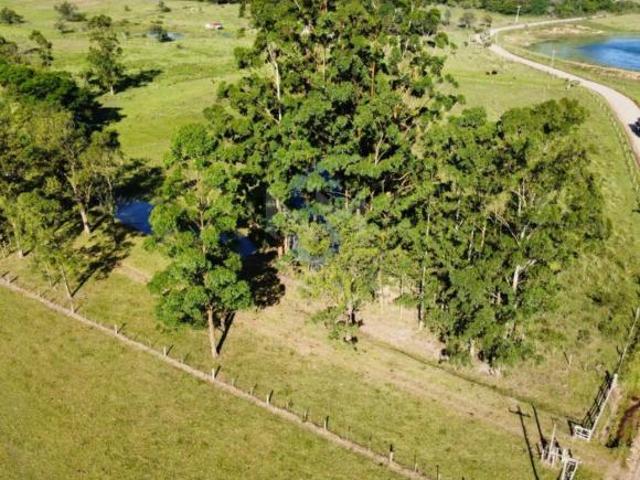 Sítio e chácara venda em Região Geográfica Imediata de Porto Alegre, Região Metropolitana de Porto Alegre