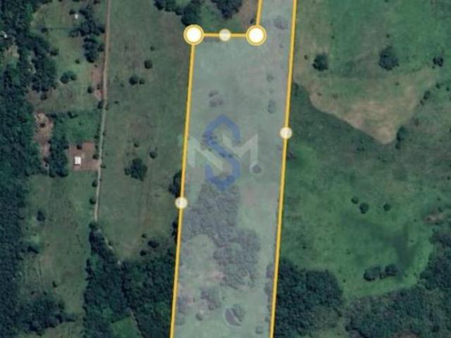 Sítio e chácara venda em Região Geográfica Imediata de Porto Alegre, Região Metropolitana de Porto Alegre