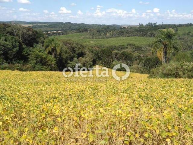 Terreno venda em Região Geográfica Imediata de Curitiba, Região Metropolitana de Curitiba