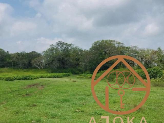 Departamento en venta en Tamiahua, Veracruz
