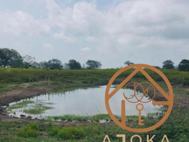 Rancho en venta en Tamiahua, Veracruz