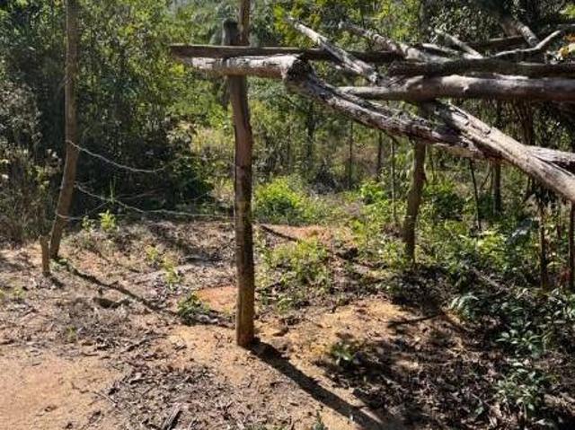 Sítio e chácara venda em Região Geográfica Imediata de Divinópolis, Região Metropolitana de Belo Horizonte