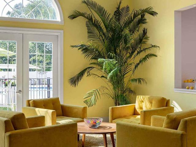 Apartment for rent in Windsor Mill, Maryland