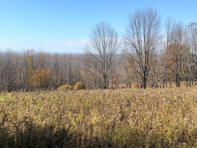 Land for sale in Claryville, New York