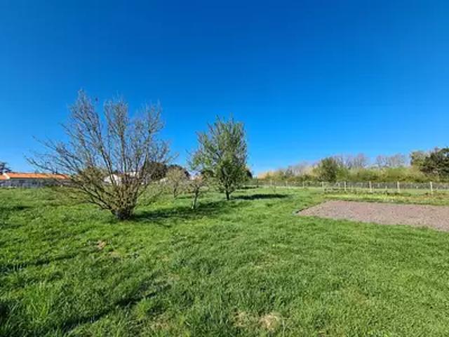 Terrain vente à France métropolitaine, Chaillevette