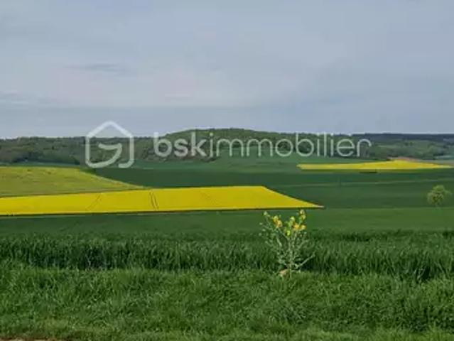 Terrain vente à Auxerre, Boeurs-en-othe