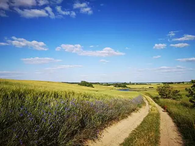 Terrain vente à Auxerre, Boeurs-en-othe