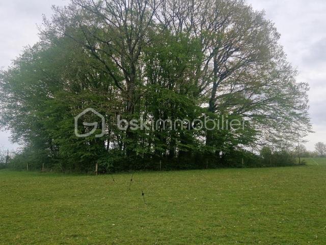 Terrain vente à Auxerre, Boeurs-en-othe