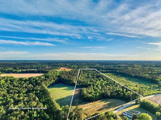 Land for sale in Hemingway, South Carolina