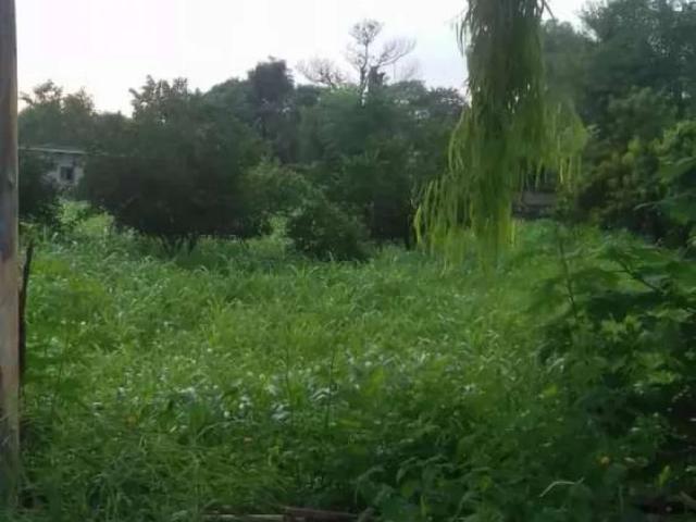 Land for sale in Islamabad