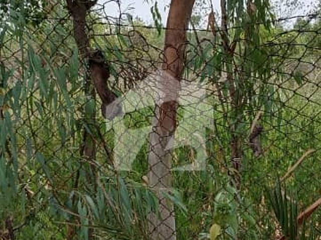 Property for sale in Islamabad