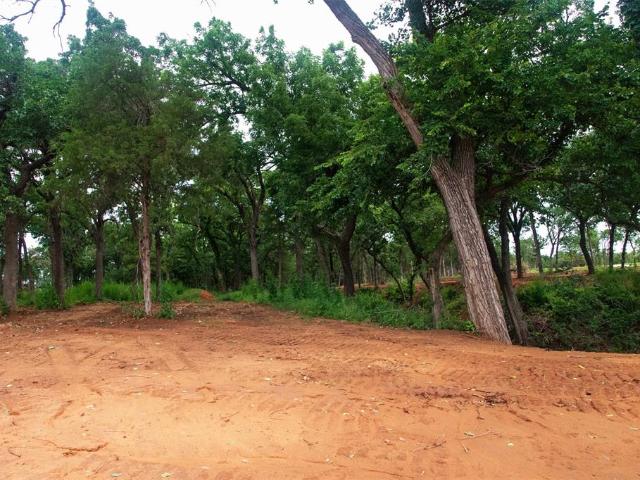 Land for sale in Battiest, Oklahoma