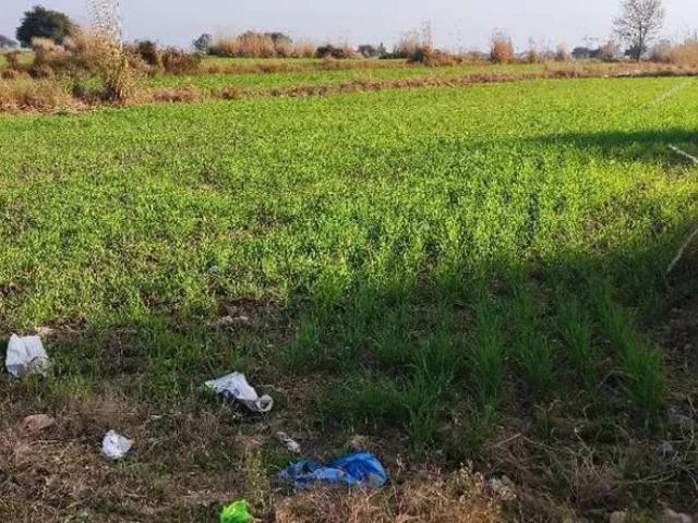 Land for rent in Gujar Khan, Islamabad Capital Territory