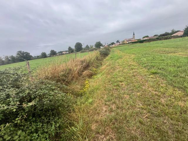 Terrain vente à Montbrison, Chalain-le-comtal