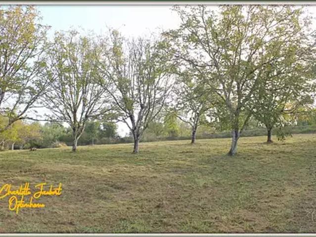 Terrain vente à France métropolitaine, Chalais