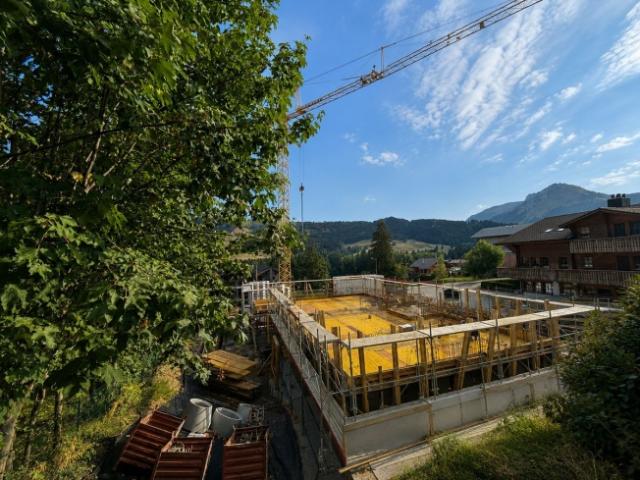 Wohnung kaufen in Châtel-Saint-Denis, Freiburg