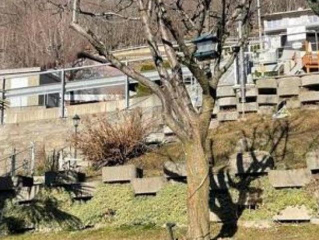 Haus kaufen in Carmena, Bellinzona