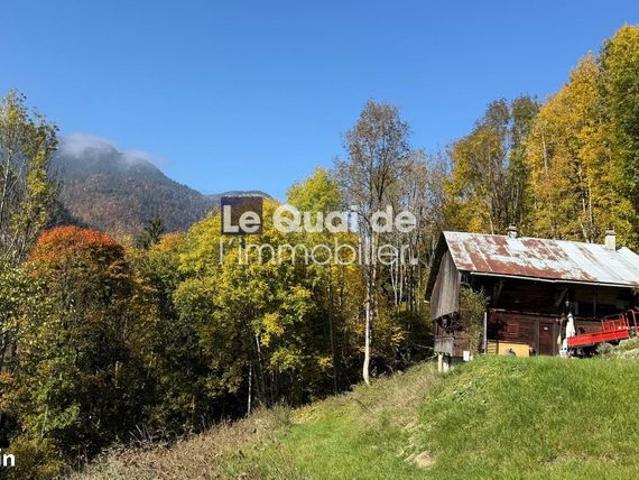 Maison vente à Largentière, Borne