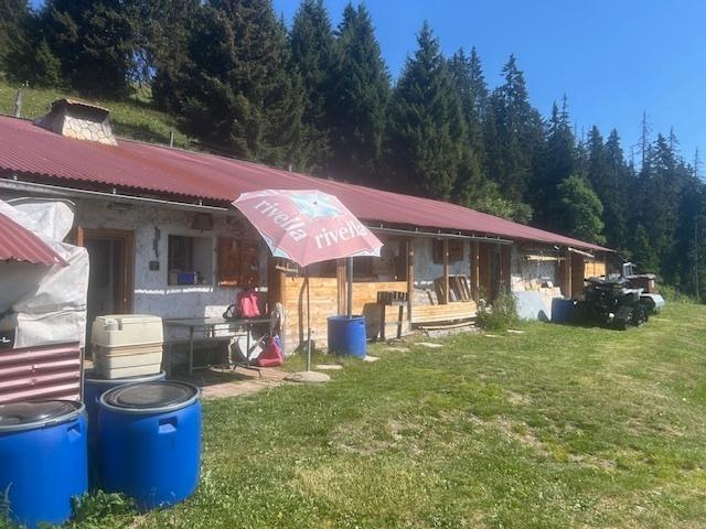 Haus kaufen in Ormont-Dessous, Waadt