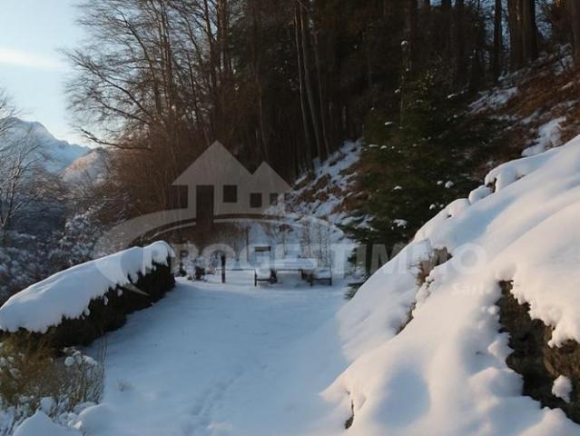 Haus kaufen in Gryon, Waadt
