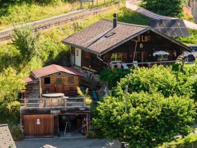 Haus mieten in Gryon, Waadt