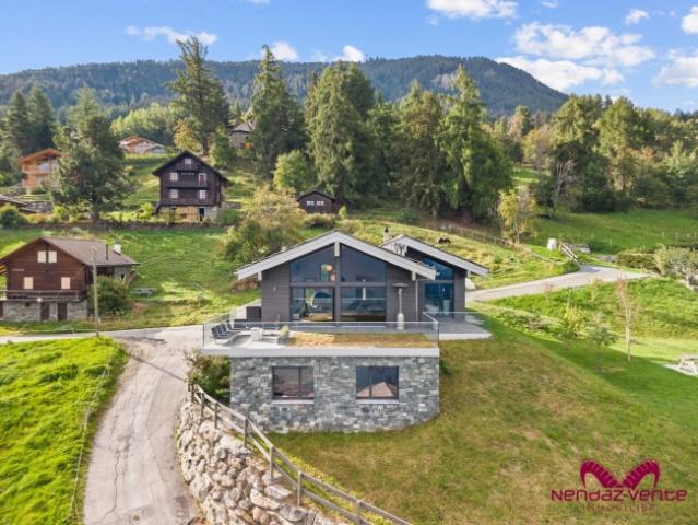 Haus kaufen in Haute Nendaz, Nendaz
