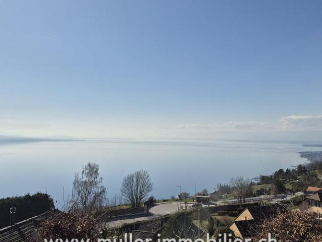 Haus kaufen in Bourg-en-Lavaux, Waadt