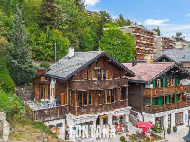 Haus kaufen in Leysin, District d'Aigle