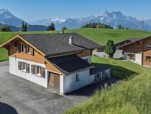 Haus kaufen in Leysin, Waadt