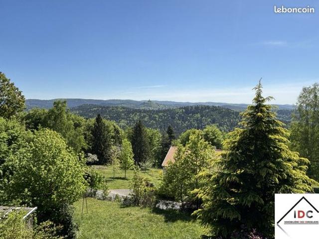 Maison vente à Sarrebourg-Château-Salins, Dabo