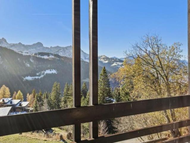 Haus kaufen in Gryon, Waadt