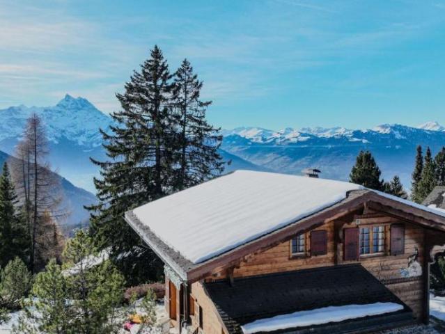 Haus kaufen in Gryon, Waadt