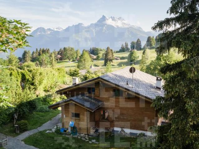 Haus kaufen in Ollon (VS), Waadt