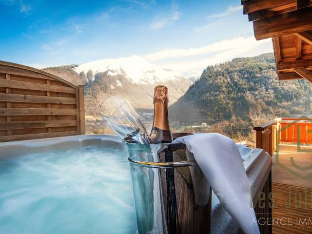 Maison vente à Thonon-les-Bains, Morzine