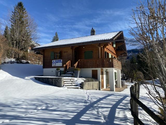 Haus kaufen in Gryon, Waadt