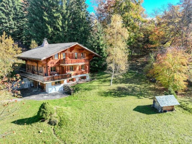 Haus kaufen in Ollon (VS), Waadt