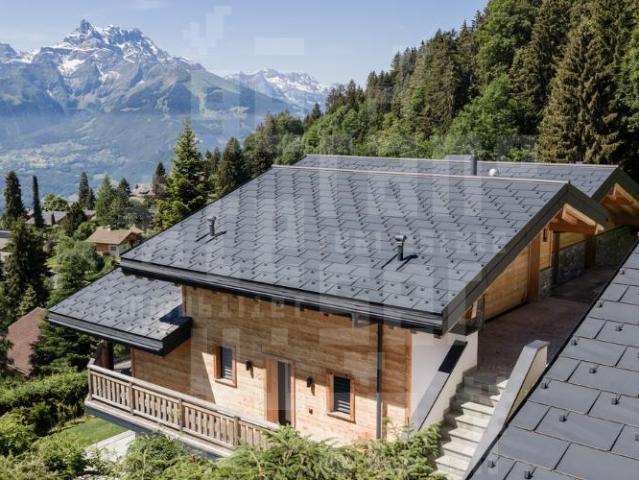Haus kaufen in Ollon (VS), Waadt