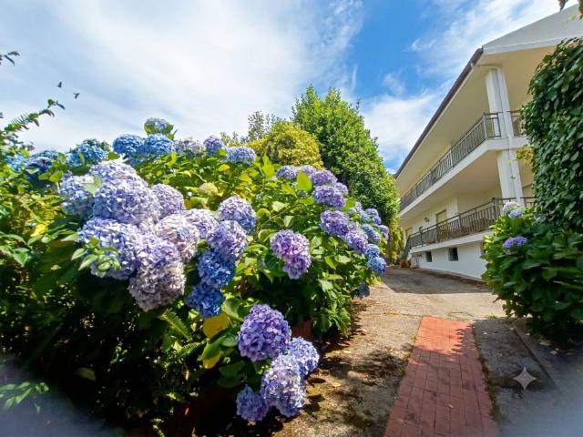 Casa en alquiler en Camposancos, O Baixo Miño
