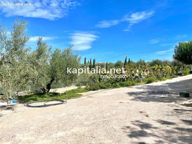 Casa en venta en L'alqueria D'asnar