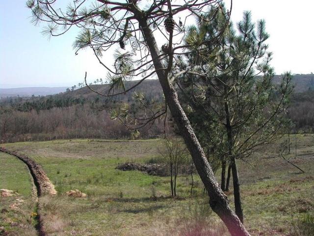 Casa en venta en A Peroxa, Corneda