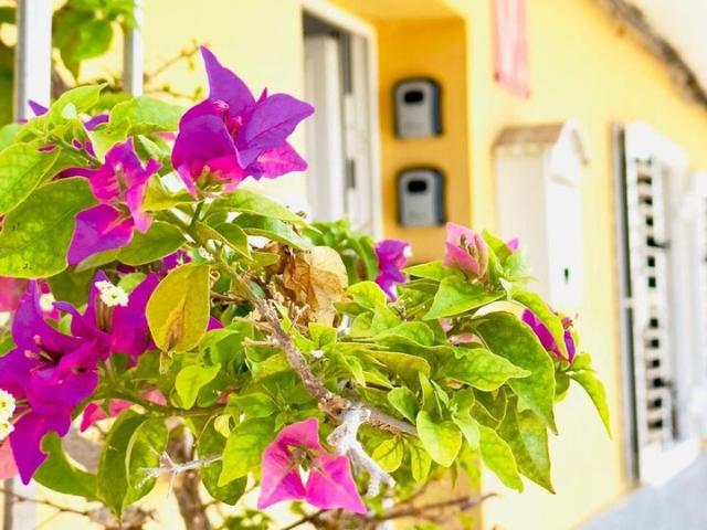 Chalet en venta en Santa Lucía de Tirajana, Canarias
