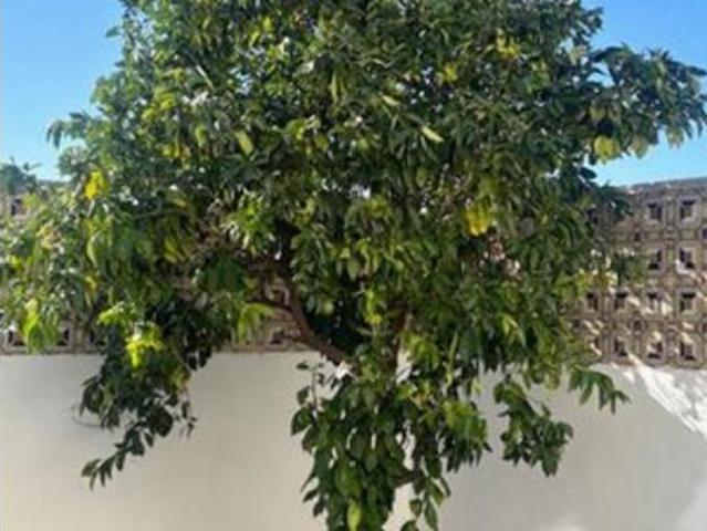 Chalet en venta en Santa Isabel, Zaragoza