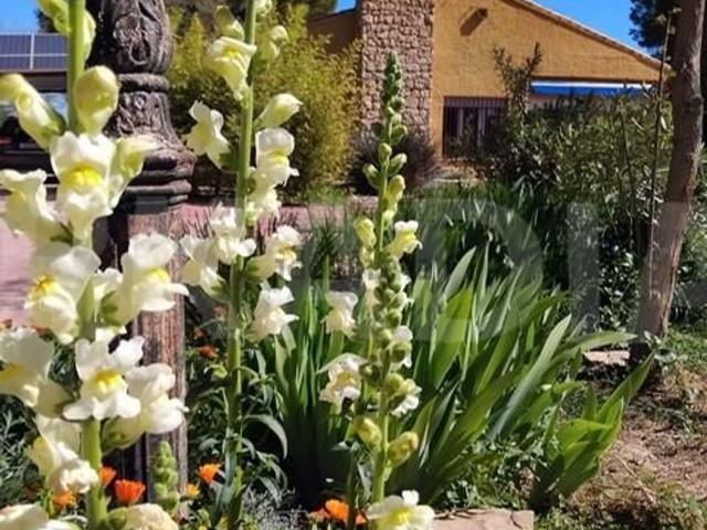 Casa en venta en Distrito 4, Albacete