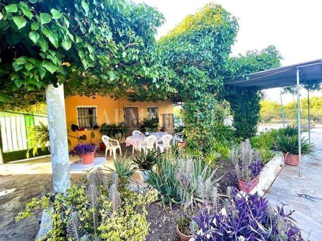 Casa en venta en Albatera, Valencia
