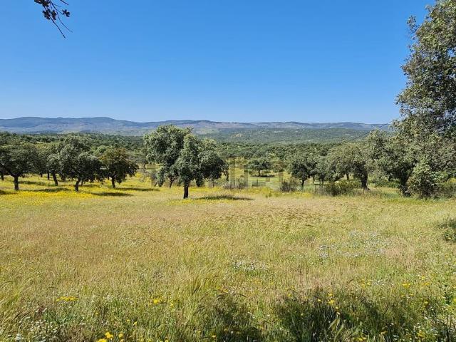 Casa en venta en Alcaracejos