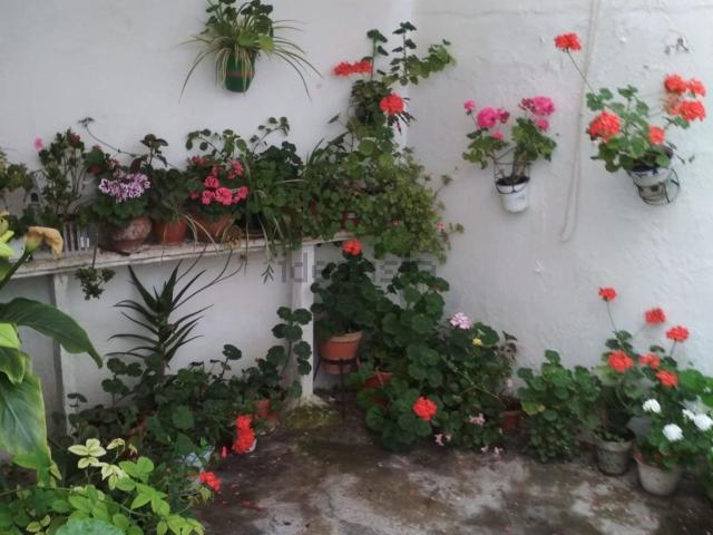 Casa en venta en Alcázar De San Juan