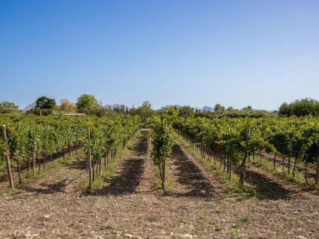 Casa en venta en Raiguer, Baleares